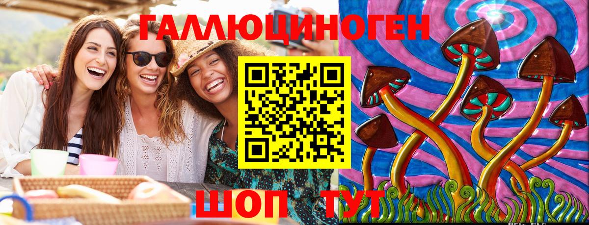 Псилоцибиновые грибы Psilocybe Каспийск