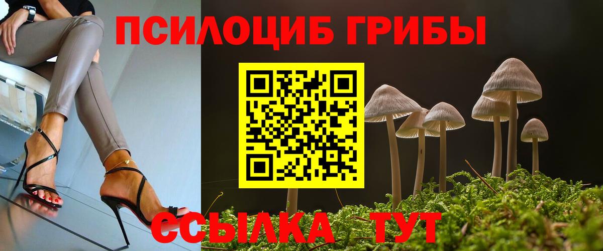 как найти закладки  Псилоцибиновые грибы мухоморы  Каспийск  Вход с VPN  Псилоцибиновые грибы ЛСД 